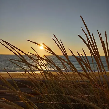 Semesterbostad Casa Da Costa De Lavos