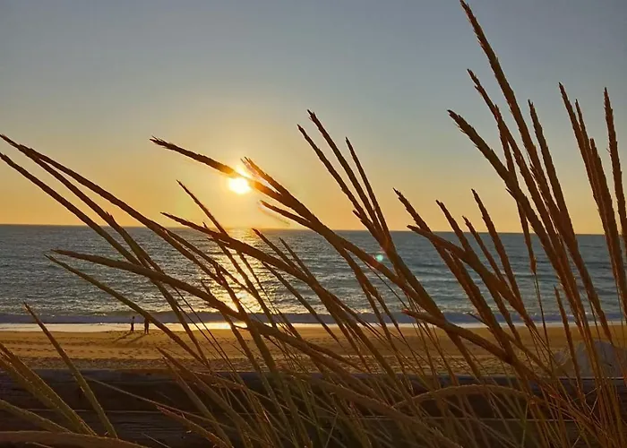 Hébergement de vacances Casa Da Costa De Lavos